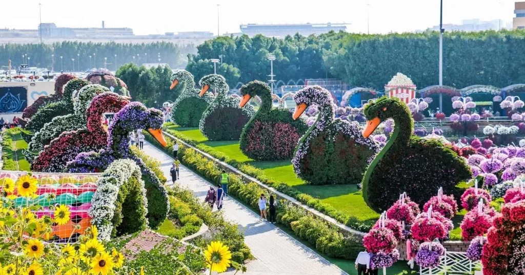 Visitors taking photos at Dubai Miracle Garden